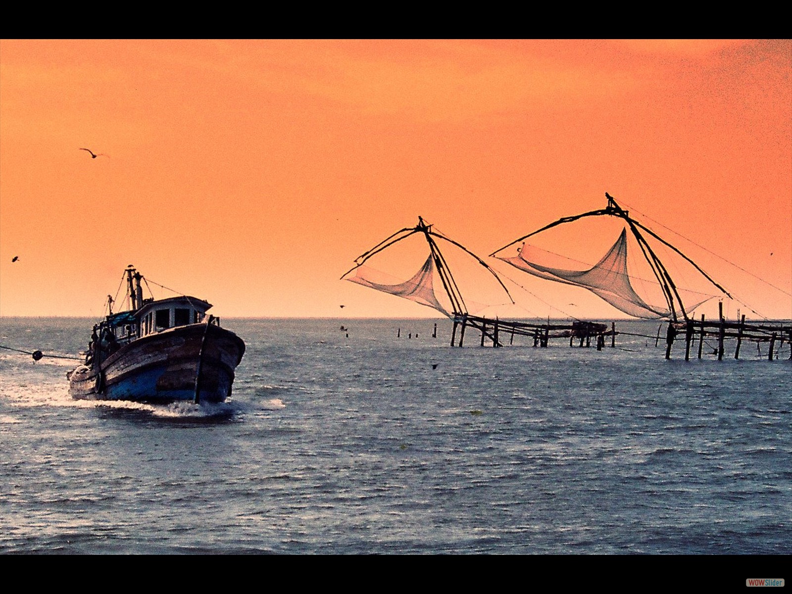 Cochin1